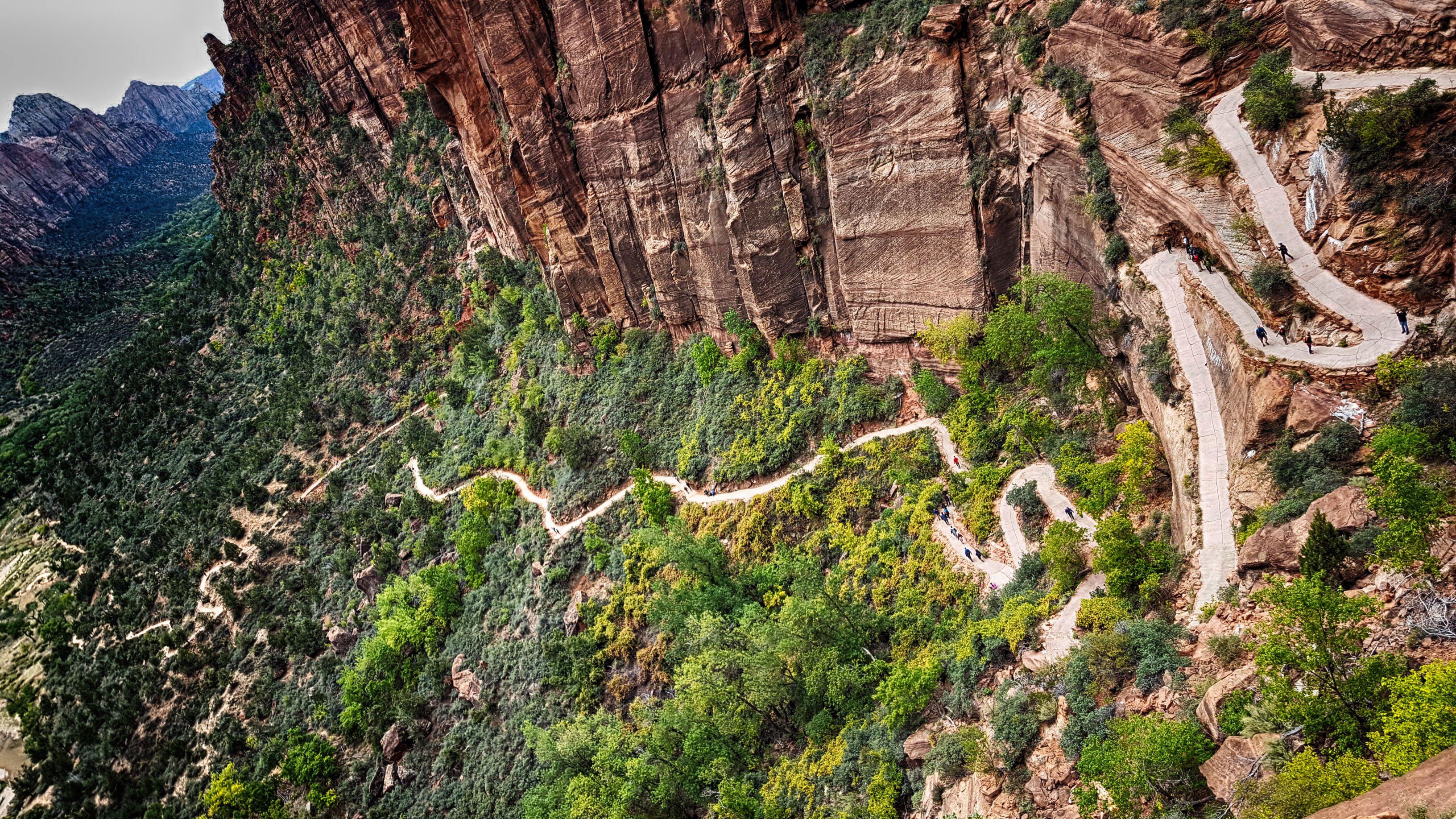  Beast's Meander